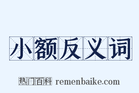 小额反义词是什么意思的图片